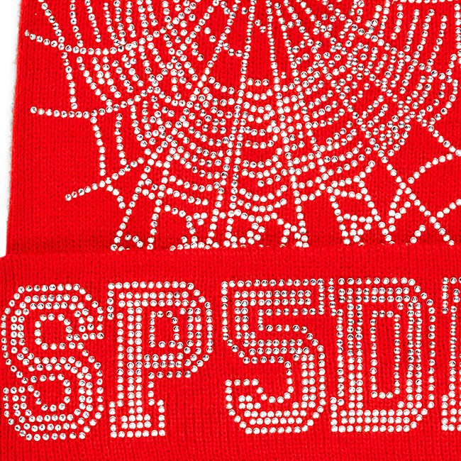 Web Beanie